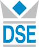 Logo DSE IT-Services